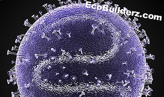 Какво е Карара мрамор? - 2023 | Bg.EcoBuilderz.com